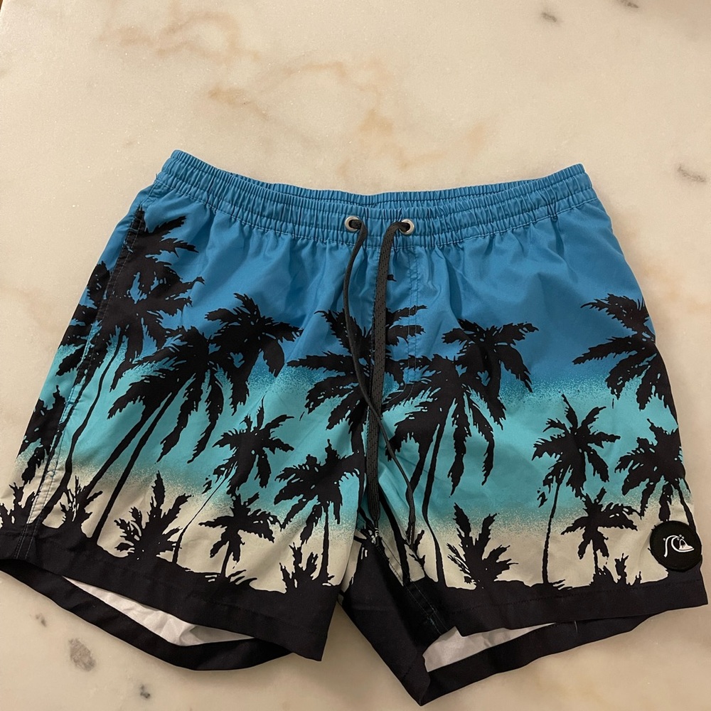 mens quicksilver swim trunks